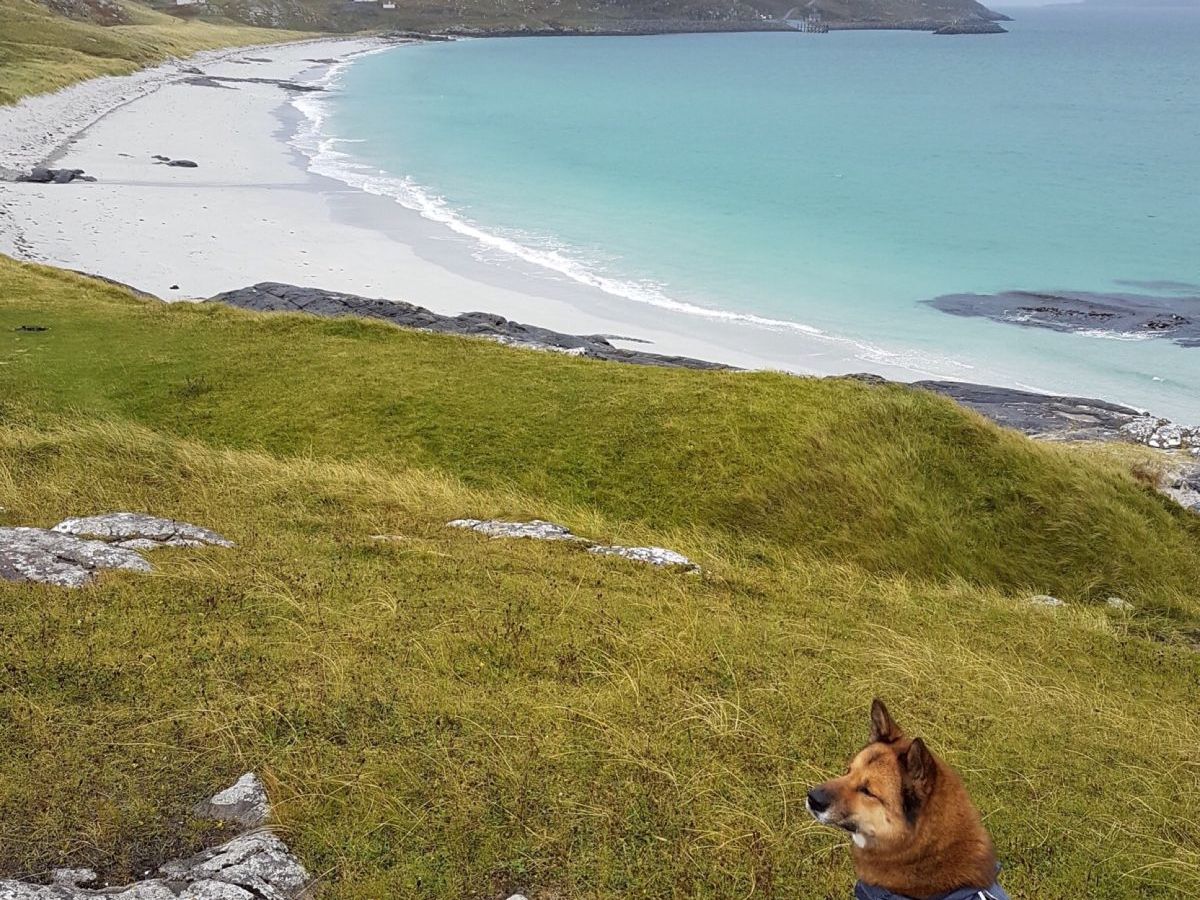 How craft making and Scotland rescued&nbsp;me