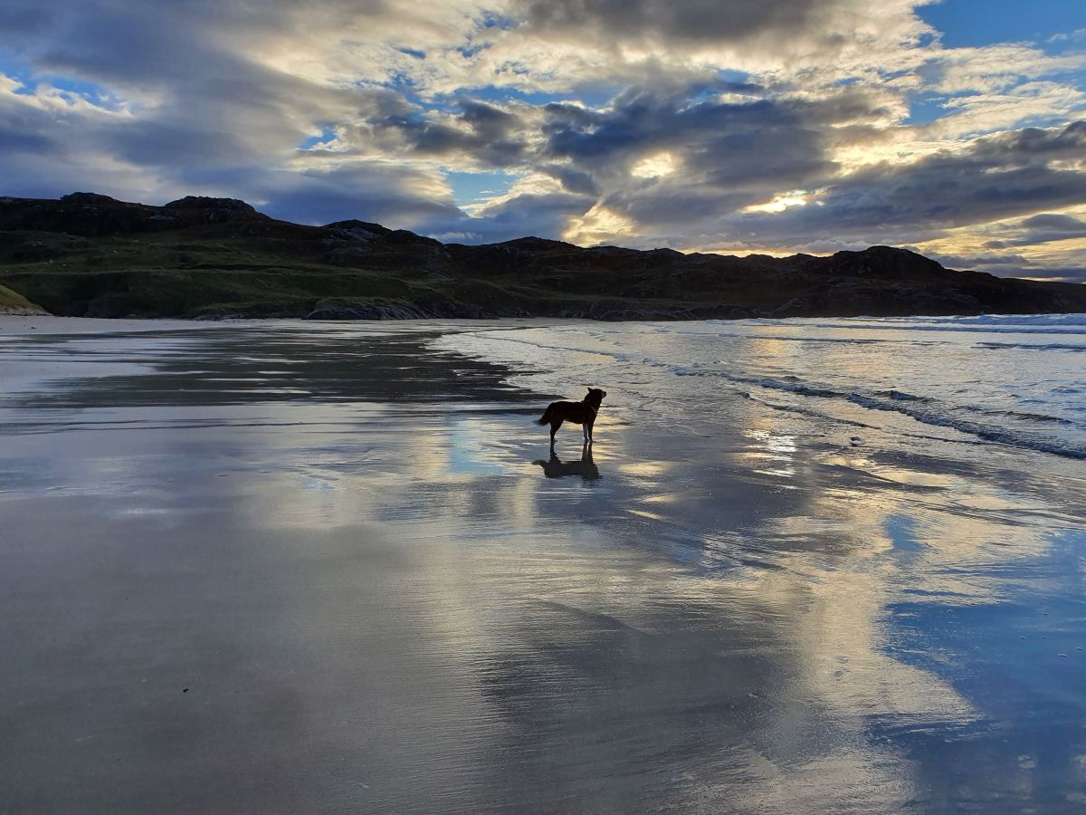 North West of Scotland – Polin&nbsp;Croft