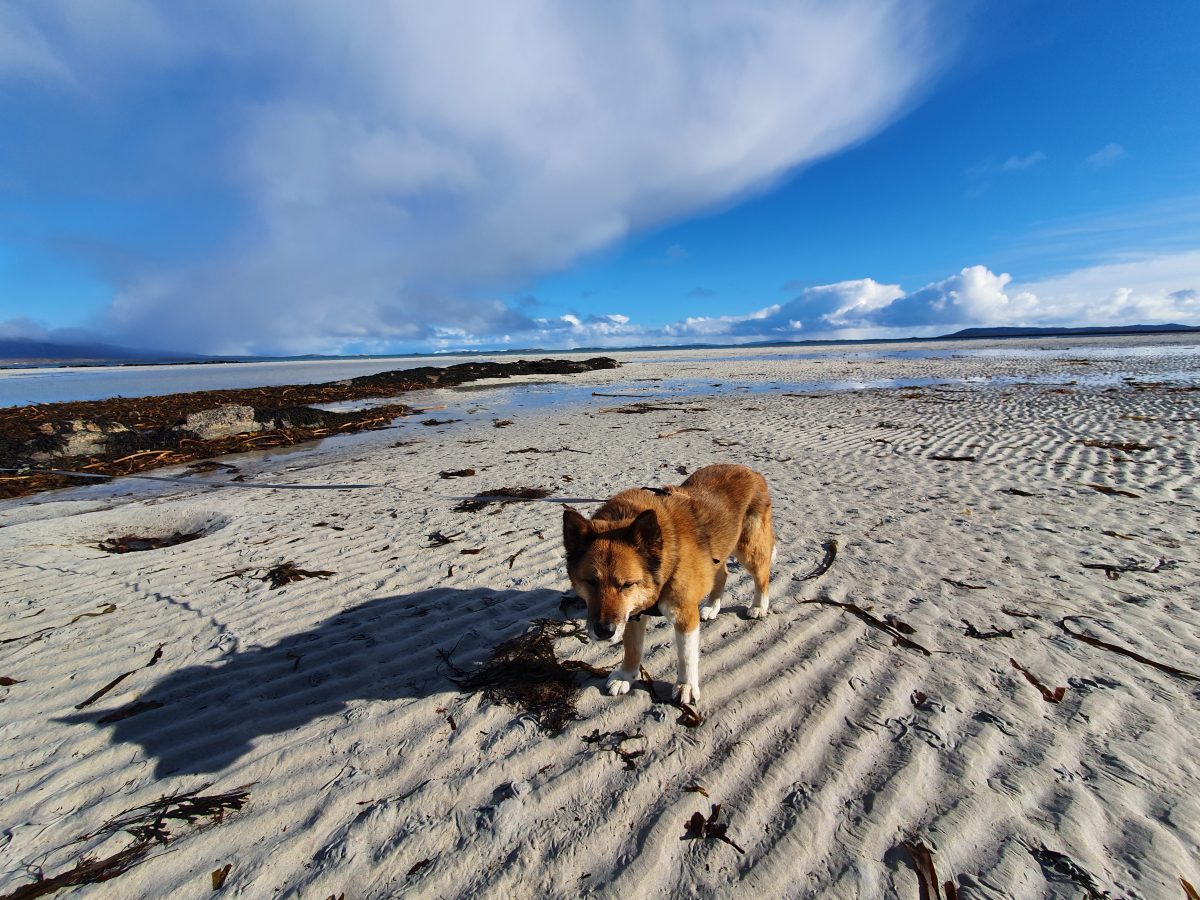 Western Isles Holiday – South Uist – part 3 – Loch Eynort and a day trip to North Uist and Berneray (via  Benbecula and&nbsp;Grimsay)