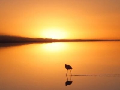 Bolivia – a country that exceeded my&nbsp;expectations