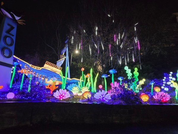 Edinburgh Zoo Lanterns